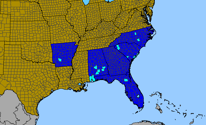 The range of Camellia japonica